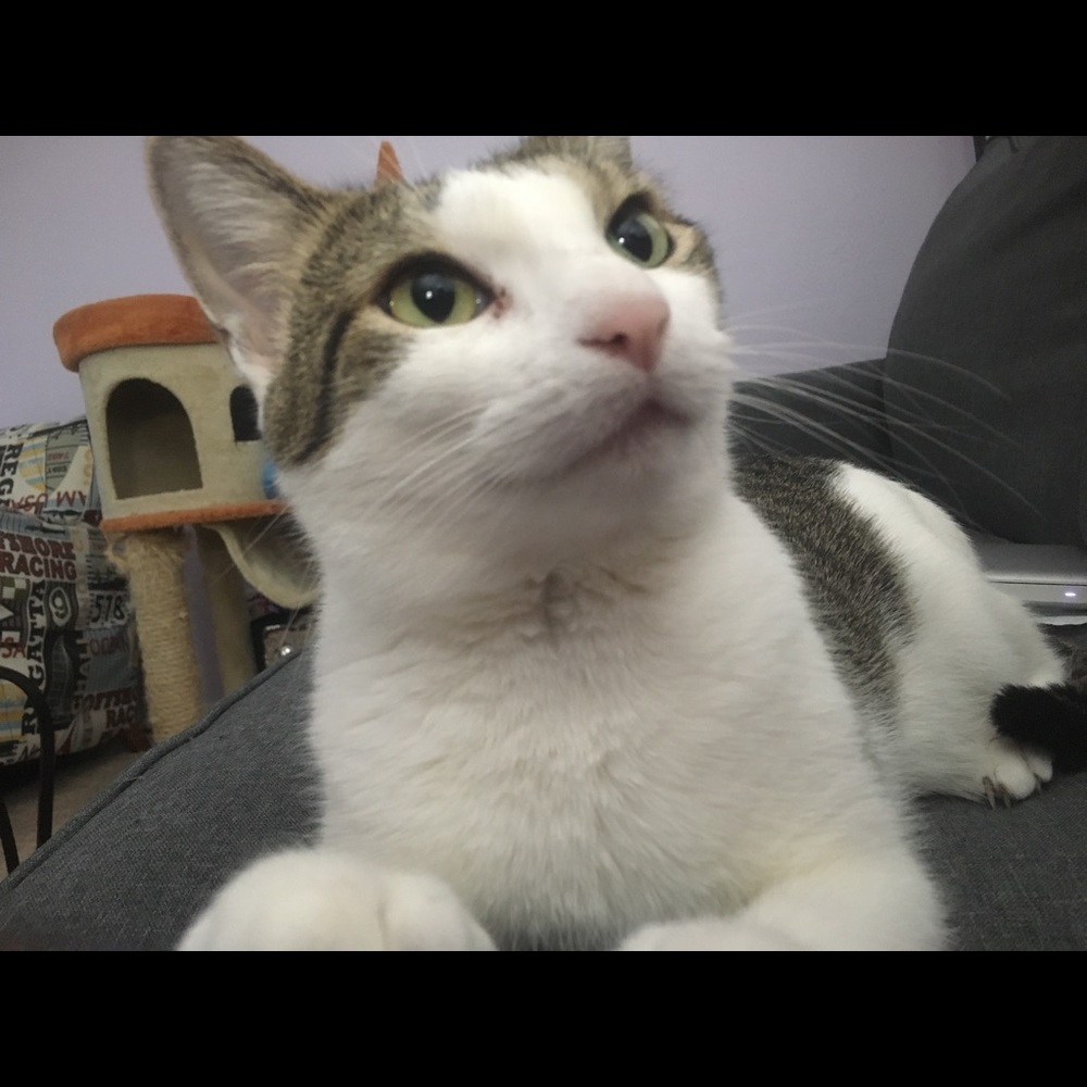 Meet your Posher, Rogelio